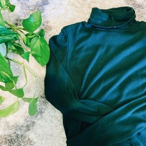 Fitted Turtle Neck